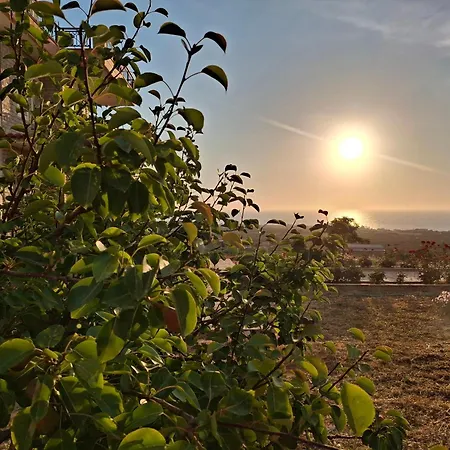 Hébergement de vacances Roe Sea View