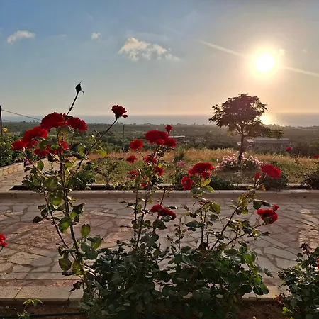 Roe Sea View Kyparissia
